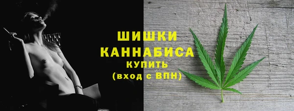 СК Вязьма
