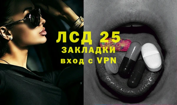 СК Вязьма