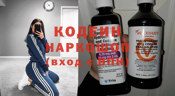 СК Вязьма